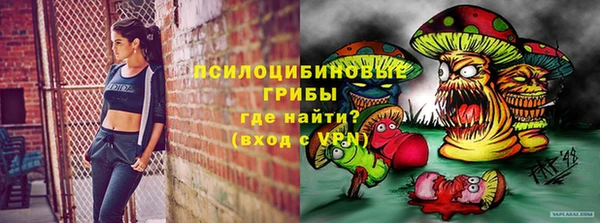 крисы Армянск