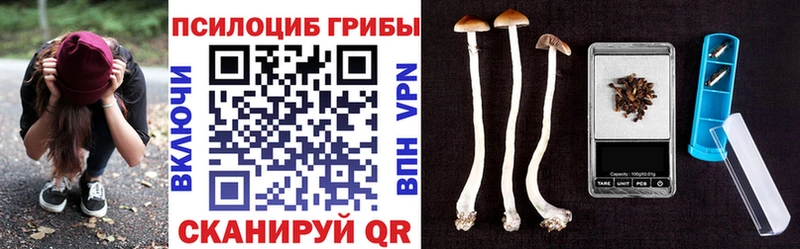 Псилоцибиновые грибы прущие грибы MEGA как зайти Светлоград закладки
