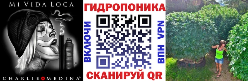 Конопля сатива  Светлоград 